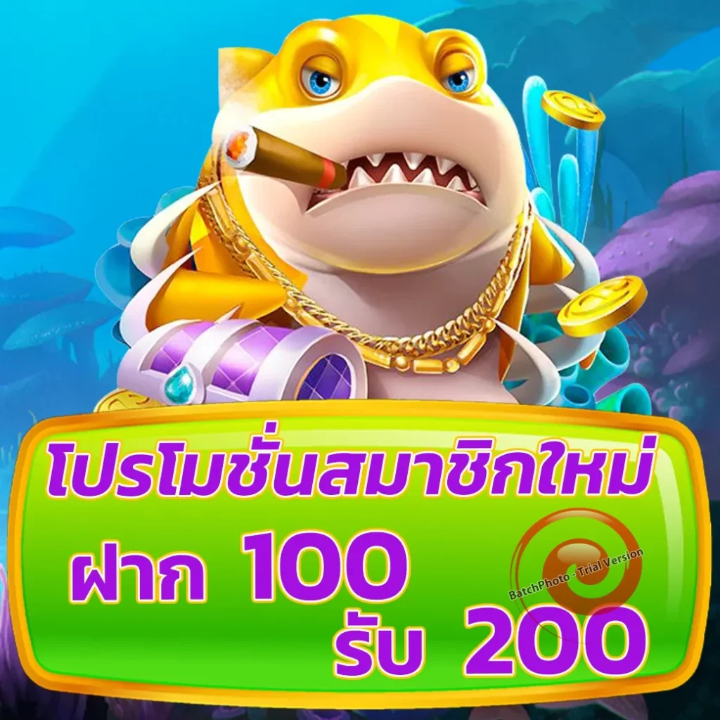 เว็บ king-toppro